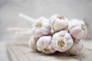 Read more about the article Garlic Cure For Constipation