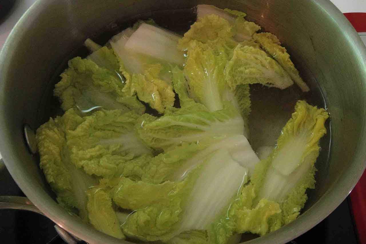 You are currently viewing Cabbage Cure For Losing Weight
