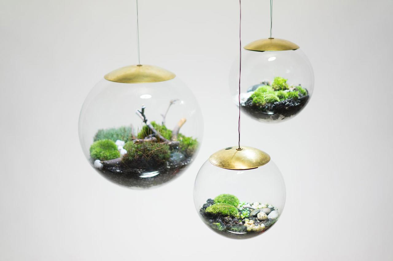 Read more about the article Create Your Own Mini-Garden With These Terrarium Lamps