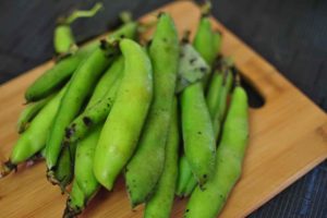 Read more about the article Fava Bean Cure For Parkinson‘s Disease