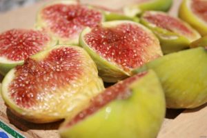 Read more about the article Fig Cure For Callus