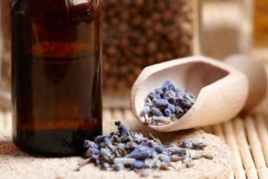 Read more about the article Lavender Cure For Baldness