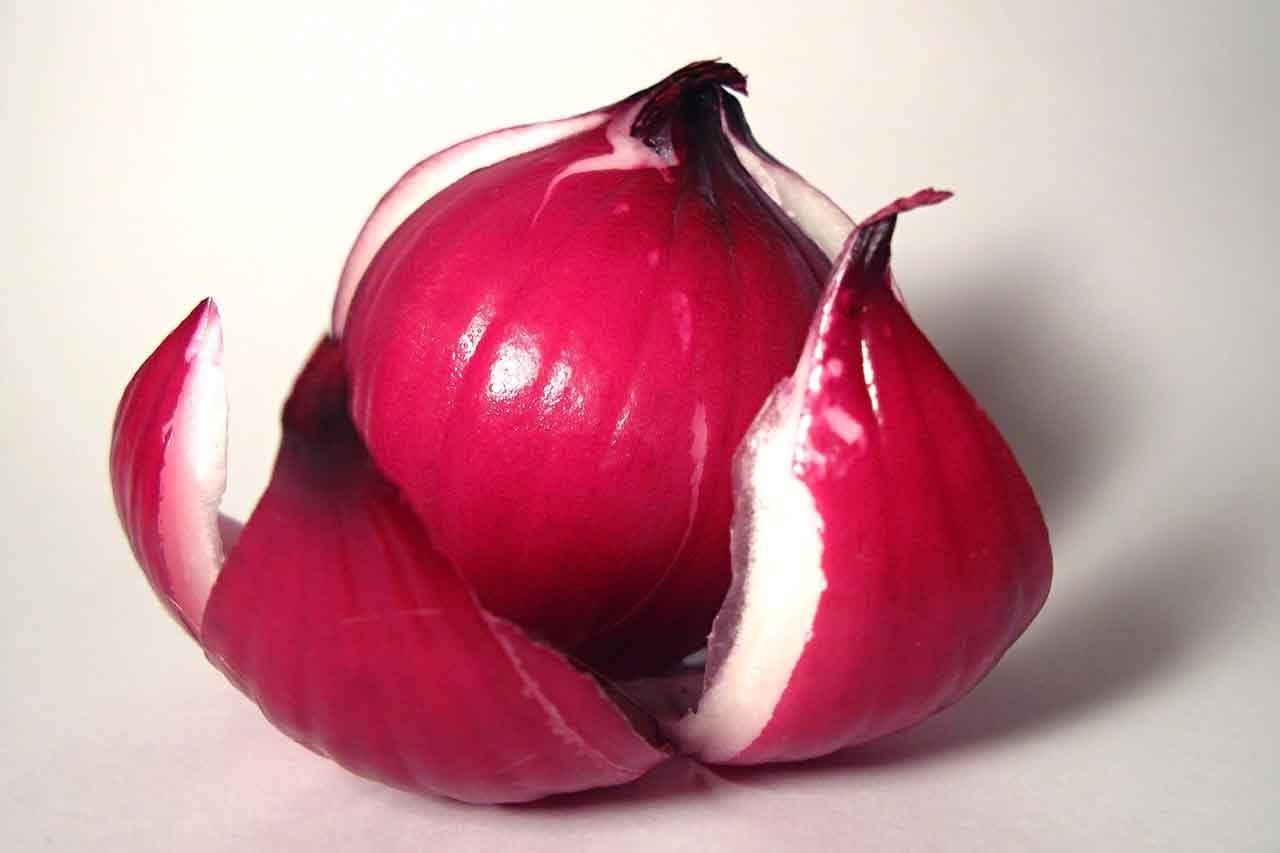 You are currently viewing Onion Cure For Acne