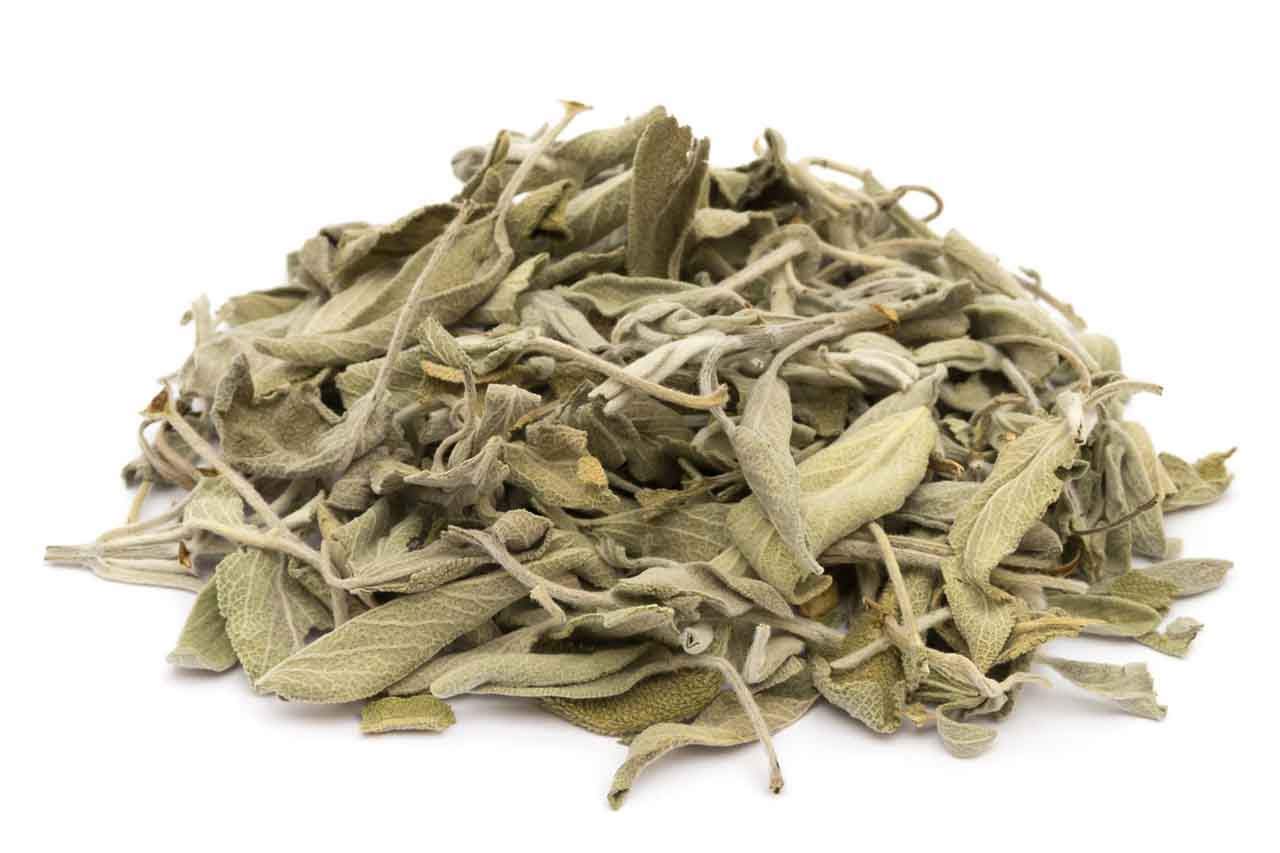 Read more about the article Sage Tea For Cough And Bad Breath