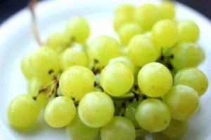 Read more about the article The Most Powerful Antioxidant: “White Grape”